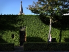 Het Brabantse dieetdorp Leende